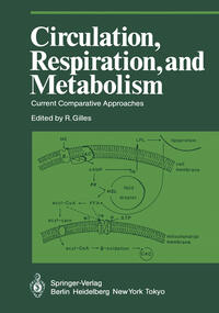 Circulation, Respiration, and Metabolism