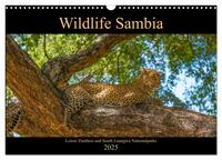 Wildlife Sambia (Wandkalender 2025 DIN A3 quer), CALVENDO Monatskalender