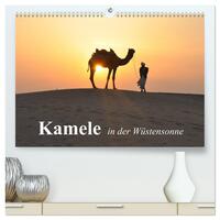 Kamele in der Wüstensonne (hochwertiger Premium Wandkalender 2025 DIN A2 quer), Kunstdruck in Hochglanz