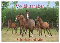 Vollblutaraber - Schönheit und Adel (Wandkalender 2025 DIN A3 quer), CALVENDO Monatskalender