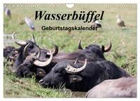 Wasserbüffel - Geburtstagskalender (Wandkalender 2025 DIN A4 quer), CALVENDO Monatskalender