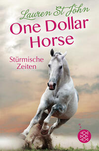 One Dollar Horse – Stürmische Zeiten