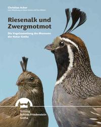 Riesenalk und Zwergmotmot