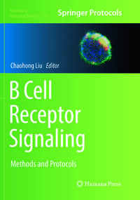 B Cell Receptor Signaling