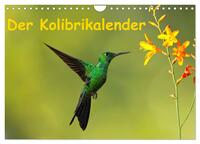 Der Kolibrikalender (Wandkalender 2025 DIN A4 quer), CALVENDO Monatskalender