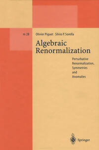 Algebraic Renormalization