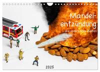 Mandelentzündung ... und andere Mini-Welten (Wandkalender 2025 DIN A4 quer), CALVENDO Monatskalender