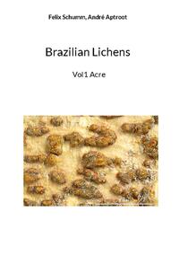 Brazilian Lichens