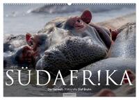 Südafrika - Die Tierwelt (Wandkalender 2025 DIN A2 quer), CALVENDO Monatskalender