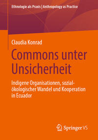 Commons unter Unsicherheit