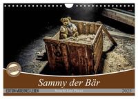 Sammy der Bär besucht Lost Places (Wandkalender 2025 DIN A4 quer), CALVENDO Monatskalender