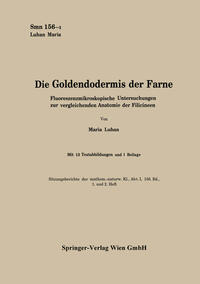 Die Goldendodermis der Farne