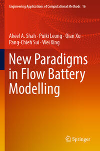 New Paradigms in Flow Battery Modelling