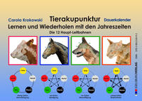 Tierakupunktur Lernkalender mit Dauerkalendarium (Akupunkturpunkte, Leitbahnen, Funktionskreise)