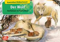 Der Wolf. Kamishibai Bildkartenset.