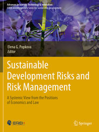 Sustainable Development Risks and Risk Management