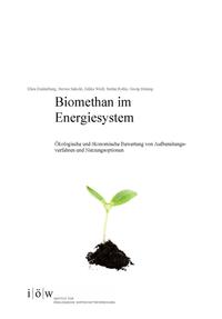 Biomethan im Energiesystem.