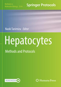 Hepatocytes