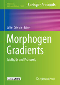 Morphogen Gradients