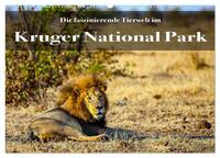 Faszinierende Tierwelt des Kruger National Parks (Wandkalender 2025 DIN A2 quer), CALVENDO Monatskalender