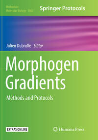 Morphogen Gradients