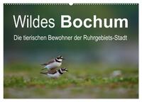 Wildes Bochum (Wandkalender 2025 DIN A2 quer), CALVENDO Monatskalender