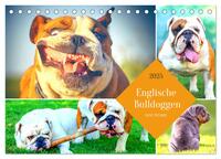 Dicke Freunde. Englische Bulldoggen (Tischkalender 2025 DIN A5 quer), CALVENDO Monatskalender