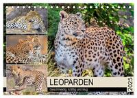 Leoparden. Geschmeidig, kräftig und klug (Tischkalender 2025 DIN A5 quer), CALVENDO Monatskalender