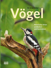 Vögel