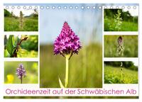 Orchideenzeit auf der Schwäbischen Alb (Tischkalender 2025 DIN A5 quer), CALVENDO Monatskalender