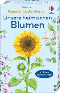 Natur-Entdecker-Karten: Unsere heimischen Blumen