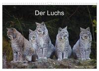 Der Luchs (Wandkalender 2025 DIN A3 quer), CALVENDO Monatskalender