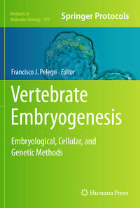 Vertebrate Embryogenesis