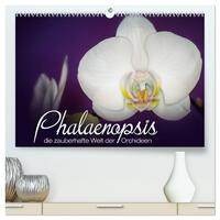 Phalaenopsis - die zauberhafte Welt der Orchideen (hochwertiger Premium Wandkalender 2025 DIN A2 quer), Kunstdruck in Hochglanz