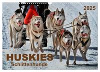 Huskies - Schlittenhunde (Wandkalender 2025 DIN A3 quer), CALVENDO Monatskalender