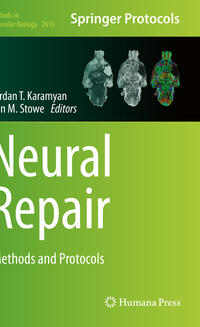 Neural Repair