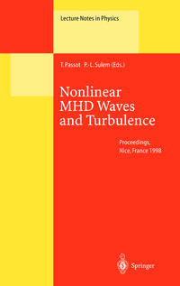 Nonlinear MHD Waves and Turbulence