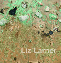 Liz Larner