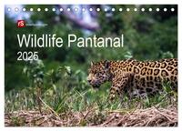 Wildlife Pantanal 2025 (Tischkalender 2025 DIN A5 quer), CALVENDO Monatskalender