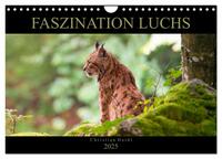 Faszination Luchs (Wandkalender 2025 DIN A4 quer), CALVENDO Monatskalender