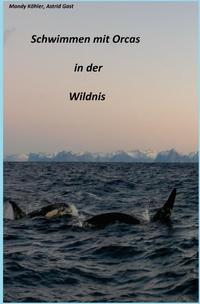 Schwimmen mit Orcas in der Wildnis