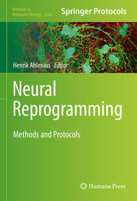 Neural Reprogramming