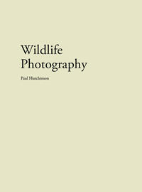 Wildlife Photography