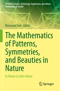 The Mathematics of Patterns, Symmetries, and Beauties in Nature