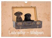 Labrador - Welpen (Wandkalender 2025 DIN A4 quer), CALVENDO Monatskalender