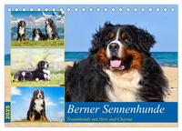 Berner Sennenhunde - Traumhunde mit Charme (Tischkalender 2025 DIN A5 quer), CALVENDO Monatskalender