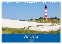 Amrum - Perle der Nordsee (Wandkalender 2025 DIN A4 quer), CALVENDO Monatskalender