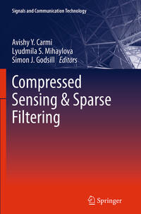 Compressed Sensing & Sparse Filtering