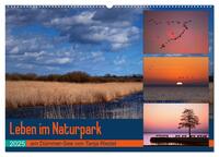 Leben am Naturpark um den Dümmer See (Wandkalender 2025 DIN A2 quer), CALVENDO Monatskalender