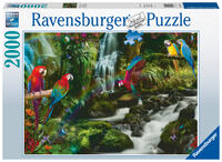 Ravensburger Puzzle 17111 - Bunte Papageien im Dschungel - 2000 Teile Puzzle für Erwachsene und Kinder ab 14 Jahren